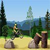 Dirt Bike 2